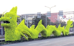 "Rồng Hải Phòng được khen đẹp hơn rồng nơi khác"