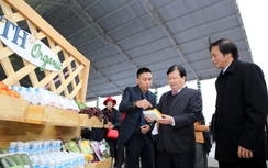 Đầu tư hơn 3.000 tỷ làm nông nghiệp công nghệ cao tại Thái Bình