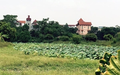 Yêu cầu điều tra vụ biến đất công thành đất tư ở Đông Anh