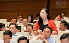 ĐBQH: "Luật sư biết thân chủ giết người không tố giác là tội ác"