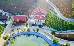 T.Ư vào cuộc, thanh tra tài sản em trai Bí thư Yên Bái