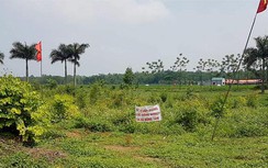 Kết luận thanh tra đất Đồng Tâm: Thu hồi ngay diện tích lấn chiếm