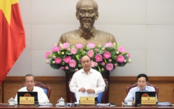 Thủ tướng: "Thủ tục bán gà còn lâu hơn nuôi gà"