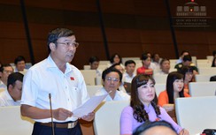 Nói "nuôi heo xây biệt phủ" là khinh nhờn pháp luật, coi thường dân