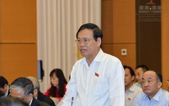 ĐBQH: "Lò nóng rồi, không đưa củi vào lò sẽ tắt!"