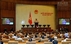 Chủ tịch Quốc hội "chấm điểm" trả lời chất vấn các thành viên CP