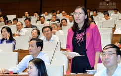 Trả lời chất vấn đóng dấu mật, ĐBQH nói với cử tri thế nào?