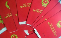 Lãnh đạo Bộ TN&MT giải thích "sổ đỏ ghi tên thành viên gia đình"