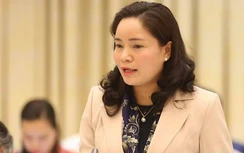 Lãnh đạo Bộ VH-TT&DL nói gì về việc thu phí ở Yên Tử?