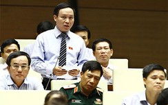 Một đại biểu Quốc hội thôi nhiệm vụ để đi làm đại sứ