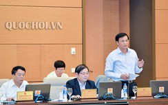 "Quốc hội phải "bắc nước chờ gạo" khi luật đưa vào lại rút ra"