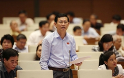 ĐBQH lo Chủ tịch đặc khu dễ vi phạm vì được giao nhiều quyền