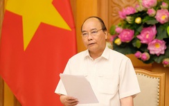 Thủ tướng: "Lấy bột tre chữa ung thư được giải thưởng, rất phản cảm!"