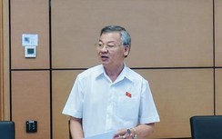 Nhân sự mới thay thế bà Mỹ Thanh làm Trưởng đoàn ĐBQH Đồng Nai