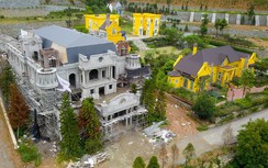 Bí thư Hà Nội nói gì việc thanh tra "xẻ thịt" rừng Sóc Sơn?