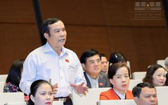 ĐBQH muốn có "án lệ" vụ xe container đâm Innova lùi trên cao tốc