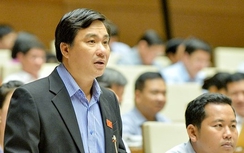 ĐBQH: Thí điểm giáo dục "ngốn" tiền tỷ, lấy học sinh làm "chuột bạch"