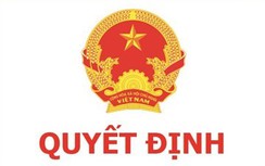 3 người được bổ nhiệm trợ lý Thủ tướng, Phó Thủ tướng là ai?