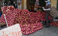 Trái cây Việt bị rẻ rúng ở nước ngoài