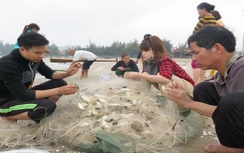 Ngư dân Nghệ An trúng "lộc" đầu năm