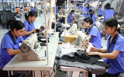 Doanh nghiệp đừng... quá sợ hãi