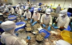 Nhóm hàng nào hưởng lợi khi FTA Việt Nam – EU có hiệu lực?