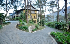 Bộ TN&MT vào cuộc vụ xây resort không phép tại Ba Vì