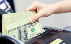 NHNN lên tiếng về con số 7,3 tỷ USD gửi ở nước ngoài