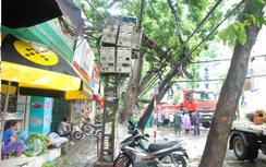Tin bão số1: Chưa khắc phục xong sự cố điện do mưa lớn