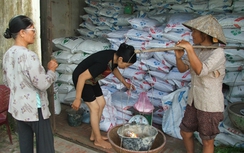 Phó Thủ tướng yêu cầu siết lại thị trường phân bón