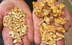 Lại kiến nghị cho nhập vàng nguyên liệu