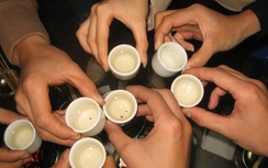 Hà Nội dự kiến tiêu thụ hơn 4 triệu lít rượu trong dịp Tết