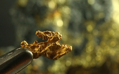 Giá vàng hôm nay 10/1: Tăng mạnh liên tiếp