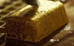 Giá vàng hôm nay 1/2: Tiếp tục tăng mạnh