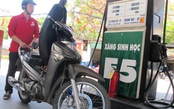 Hôm nay, cả nước bán đại trà xăng E5 RON92