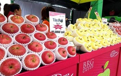 Táo sạch từ Nhật Bản chính vụ 2018 đã có mặt tại Việt Nam