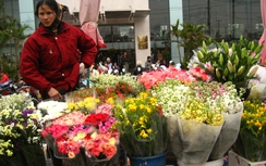 Cận 8/3, giá hoa tươi tăng vọt