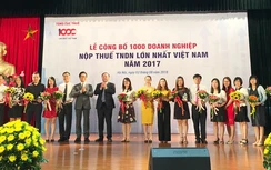 1.000 doanh nghiệp đóng góp 62,59% tổng nguồn thuế thu nhập