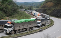 Nông sản xuất khẩu: Chi phí hoa hồng gấp 3-5 lần phí vận chuyển