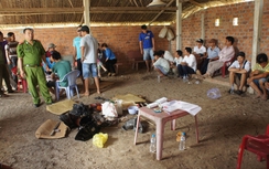 Đột kích trường gà bắt 36 con bạc, thu giữ 800 triệu đồng