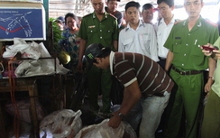Tiêu hủy hơn 250kg sản phẩm từ heo không rõ nguồn gốc