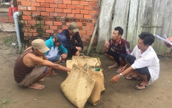 Triệt phá hai tụ điểm cờ bạc dưới hình thức đá gà ăn tiền