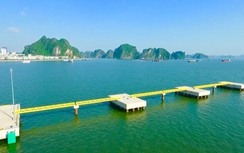 Cảng tàu khách quốc tế Hạ Long được cấp phép hoạt động