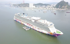 Rà soát, quy hoạch cảng biển phục vụ tàu du lịch