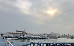 Quảng Ninh lắp thiết bị giám sát hành trình cho toàn bộ tàu thuyền