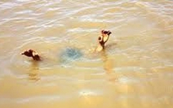 Hai học sinh tử vong ở hồ nước sau trường