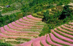 Du lịch tháng 10, nên đi đâu?