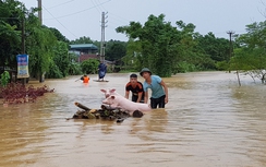 Dự báo thời tiết 12/10/2017: Lũ lịch sử vượt báo động 3