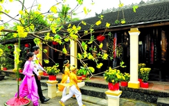 Chọn tuổi xông nhà năm mới Mậu Tuất 2018