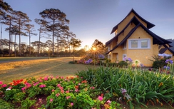 Valentine nên đưa nàng đi chơi nơi nào để đốn tim?